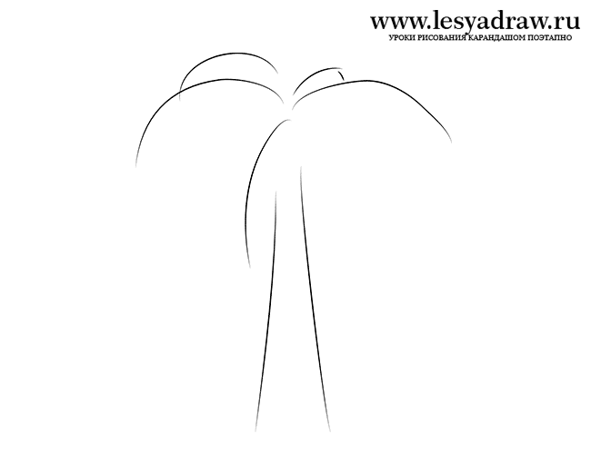 Учимся рисовать пальму