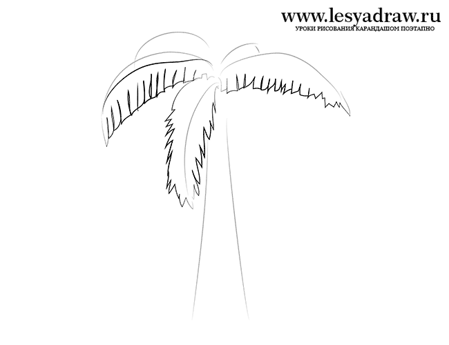 Как нарисовать пальму поэтапно