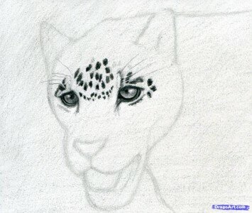 Учимся рисовать ягуара