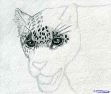 Как рисовать ягуара поэтапно