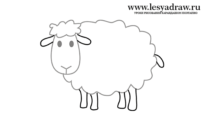 Как нарисовать овечку ребенку