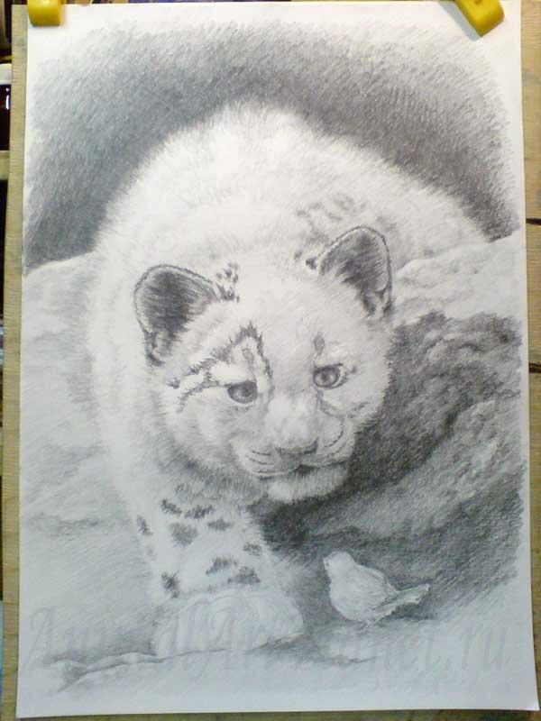 Как нарисовать снежного леопарда