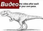 Как нарисовать динозавра Рекса карандашом поэтапно