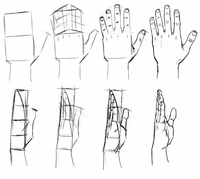 Как нарисовать кисть руки