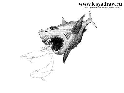 Как нарисовать акулу Мегалодона поэтапно
