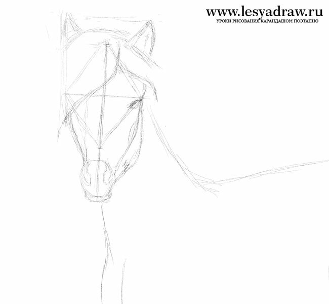 Как нарисовать морду лошади