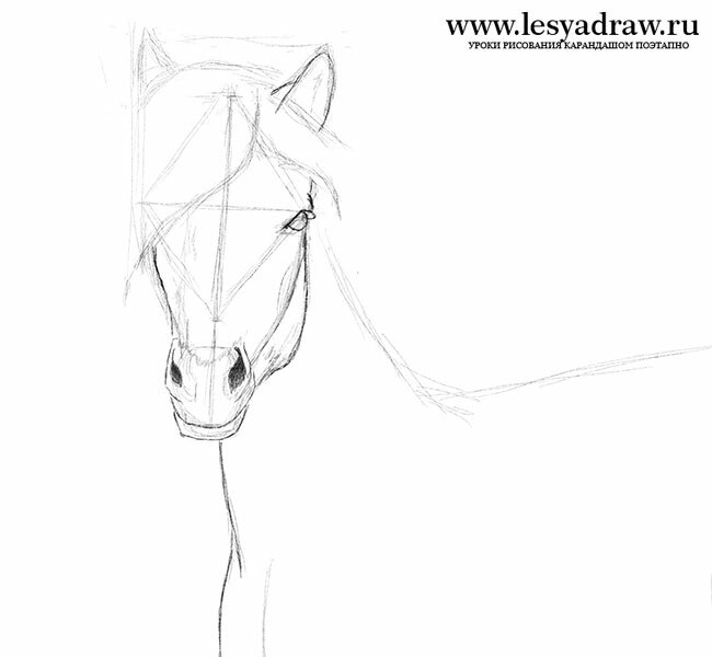 Как рисовать коня