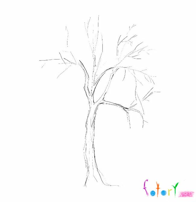Как нарисовать ствол дерева