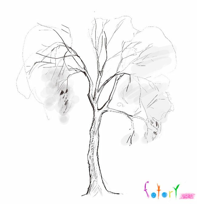 Как рисовать дерево карандашом поэтапно