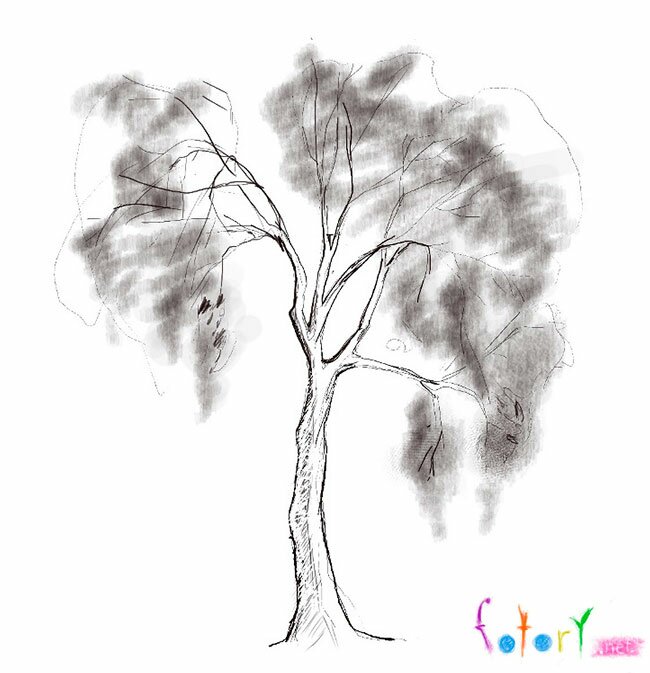 Как рисовать дерево  поэтапно