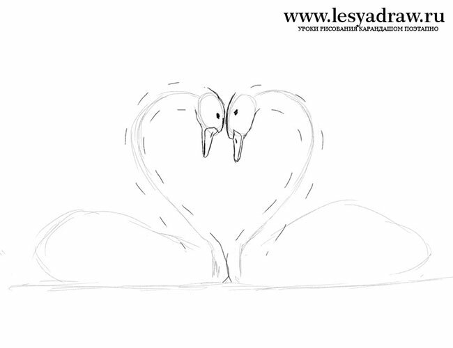 Как нарисовать двух лебедей карандашом поэтапно
