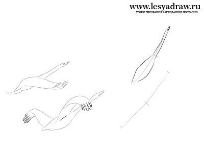 Как нарисовать гуси-лебеди карандашом поэтапно