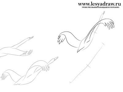 Как нарисовать гуси-лебеди летят