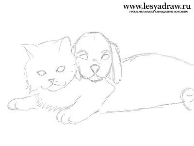 Как нарисовать котенка и щенка карандашом потапно