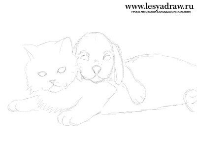 Как нарисовать собаку и кошку карандашом поэтапно