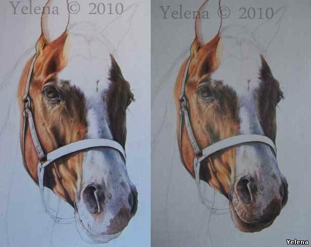 как нарисовать лошадь портрет