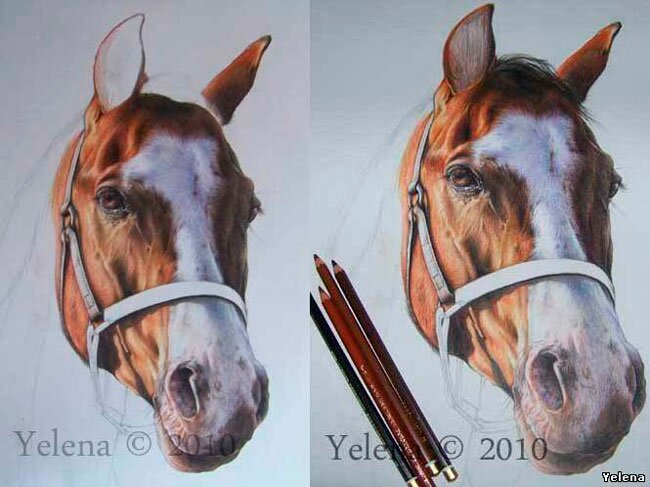 Как нарисовать лошадь цветными карандашами