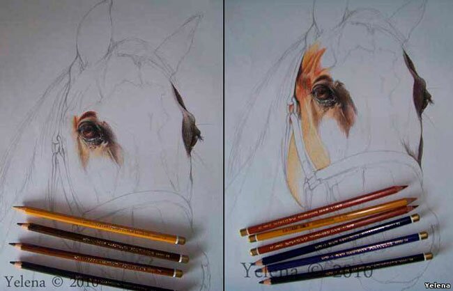 как нарисовать портрет лошади карандашом