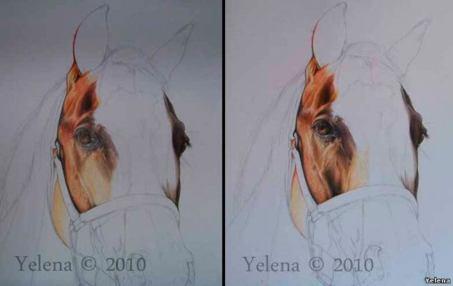как нарисовать очень красивую лошадь