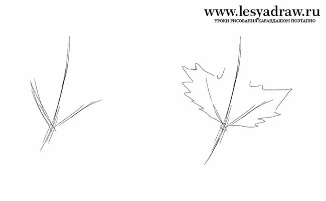 Как нарисовать осенние листья