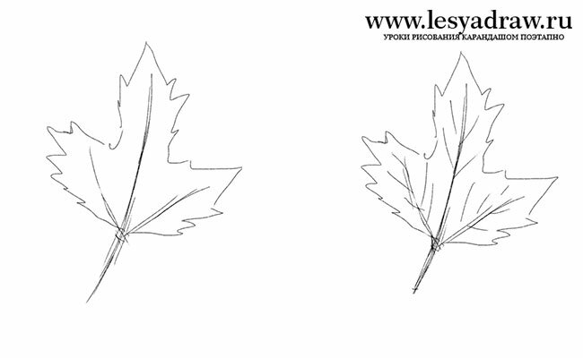 Как нарисовать осенние листья карандашом поэтапно