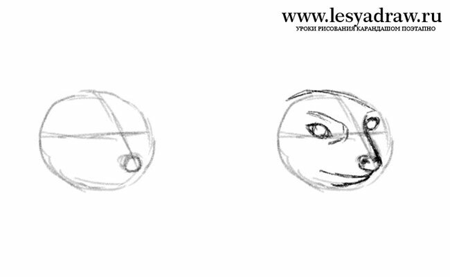 Как нарисовать голову суриката