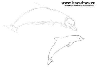 Как нарисовать дельфинов в море