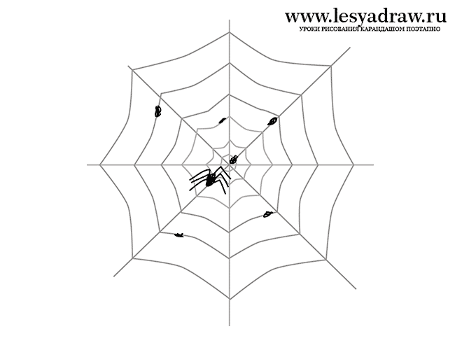 Как нарисовать паутину с пауком