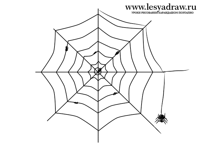 Как нарисовать паутину с пауком карандашом поэтапно