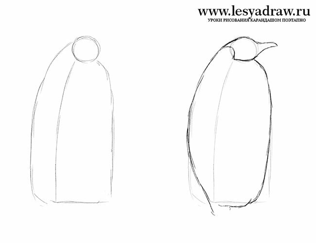 Рисуем пингвина