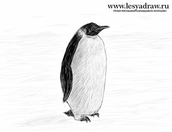 Как нарисовать пингвина 