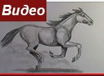 Лошадь бегущая галопом как рисовать