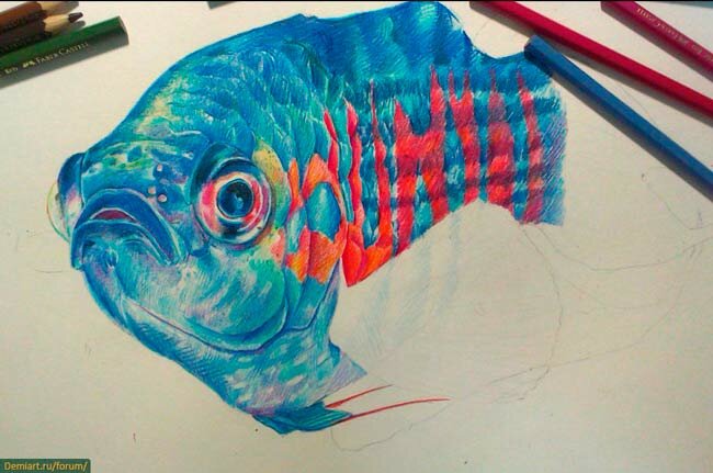 Как нарисовать рыбу цветную