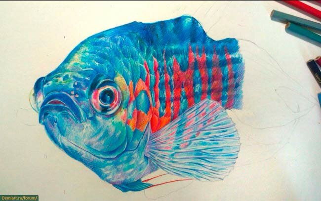 Урок рисования цветными карандашами рыба