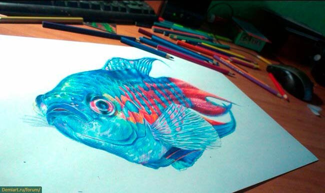 Как нарисовать рыбу цветными карандашами