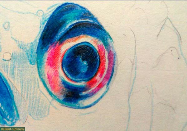 Как нарисовать глаз рыбы