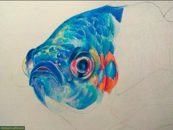 Как нарисовать чешую рыбы