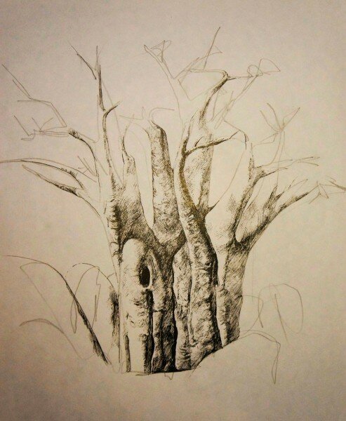 Как нарисовать дерево ручкой