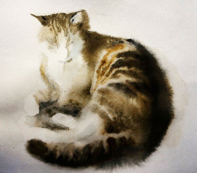 Рисуем кошку акварелью