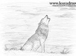 Как нарисовать воющего волка на луну