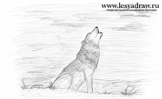 Как нарисовать воющего волка на луну