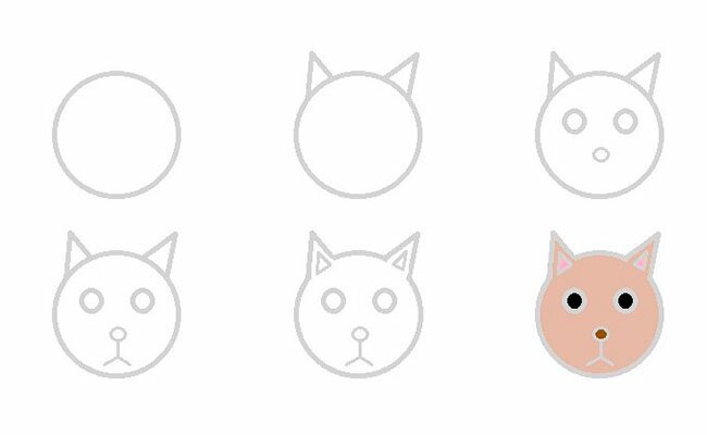 Как нарисовать мордочку котика для самых маленьких