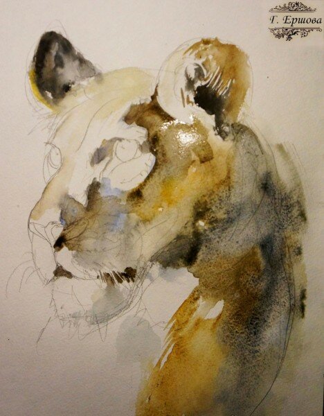 Рисуем львицу акварелью