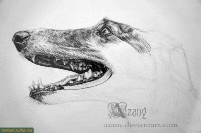 Как нарисовать зубы собаки