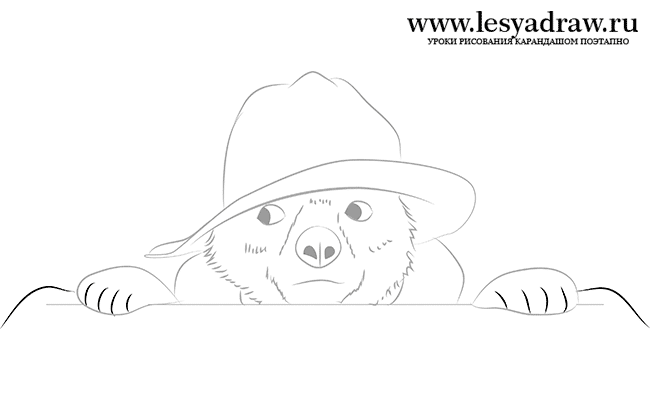 Как нарисовать медвежонка Паддингтона
