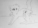 Как нарисовать двух котят
