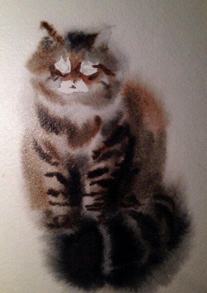 Как нарисовать сибирскую кошку акварелью