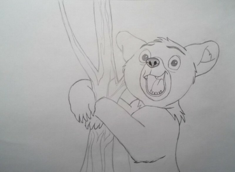 Как нарисовать медвежонка Коду из мф Братец